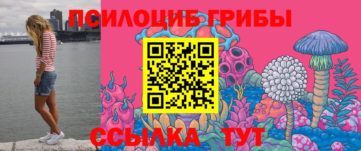 Галлюциногенные грибы Psilocybe Каменск-Шахтинский