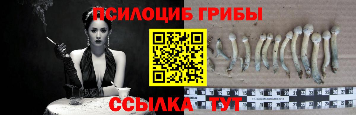 Каменск-Шахтинский  Псилоцибиновые грибы Magic Shrooms  Псилоцибиновые грибы Psilocybe  Вход с VPN 